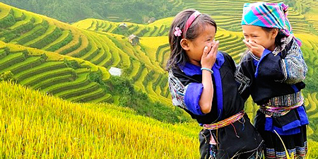 Tour Sài Gòn - Hà Nội - Mù Cang Chải - Tú Lệ - Sapa 5 ngày 4 đêm