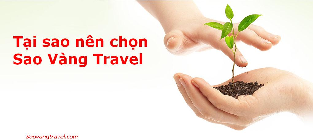 Tại Sao Nên Chọn Sao Vàng