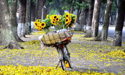 TOUR GHÉP NINH BÌNH - HANG MÚA - TRÀNG AN - HOA LƯ